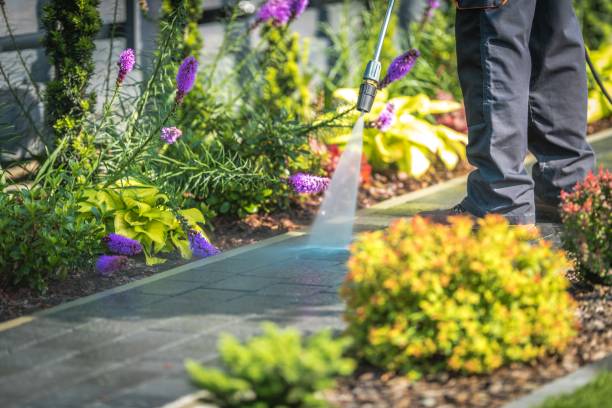 Best Sidewalk and Walkway Cleaning  in Foothill Farms, CA