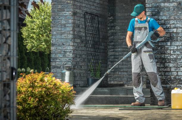 Best Soft Washing  in Foothill Farms, CA