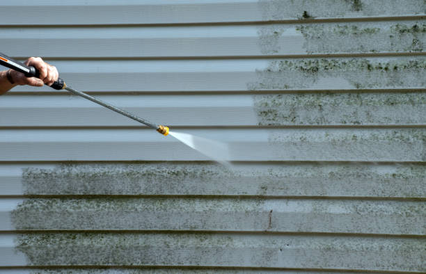 Best Driveway Pressure Washing  in Foothill Farms, CA